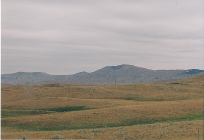 Horn 007