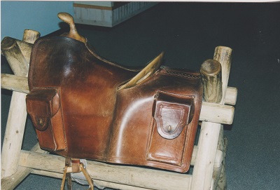 pony 020