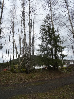 DSC04339