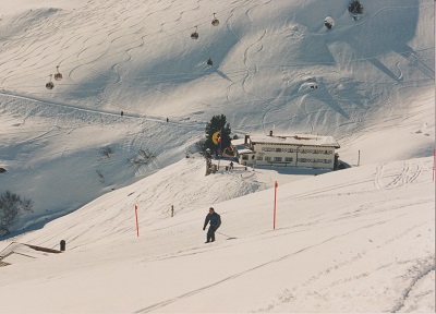 Alpenblick 002