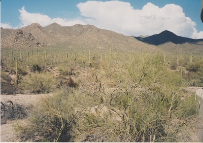 Ariz 003