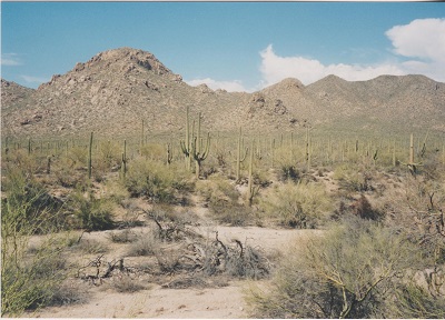 Ariz 009