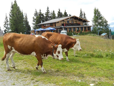 Chalupa VI2011promoce Jeníka Zug 121