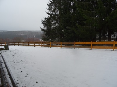 DSC00537