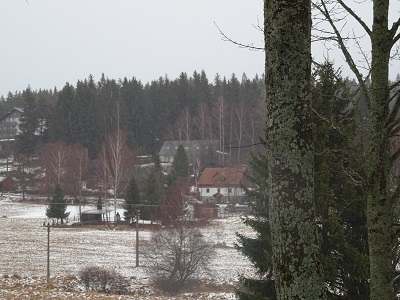 DSC00541