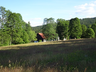DSC02709