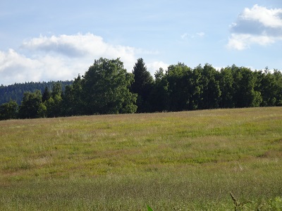 DSC02710