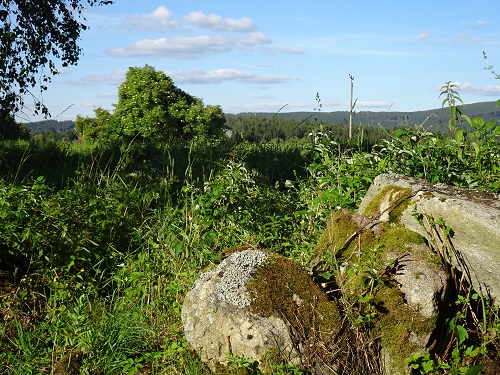 DSC02711