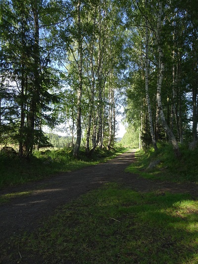 DSC02713
