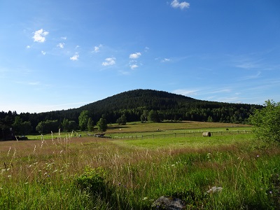 DSC02714