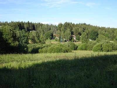 DSC02719