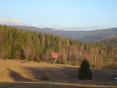 DSC05197