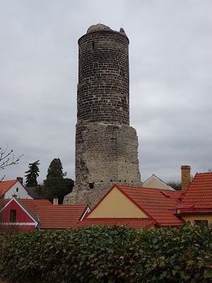 DSC05442