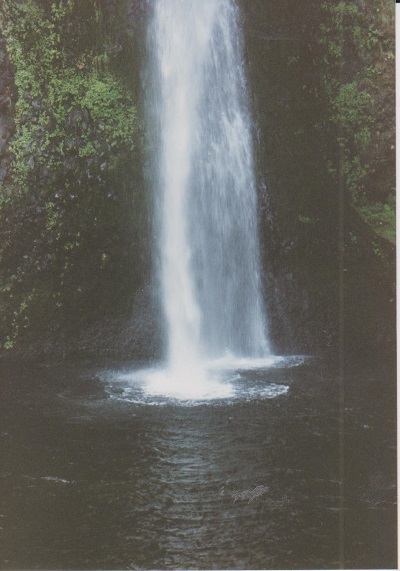 Horsetail 001