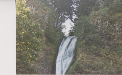 Horsetail 004