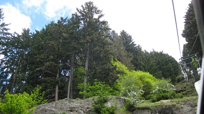 IMG 0377