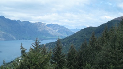 IMG 0383