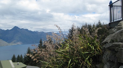 IMG 0431