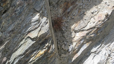 IMG 0433