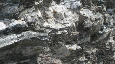 IMG 0434