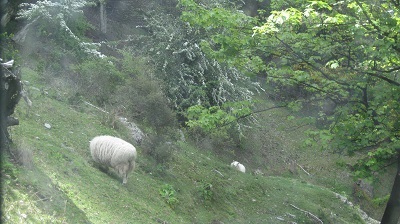 IMG 0494