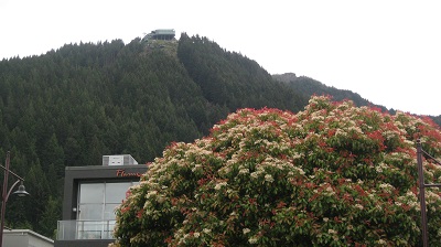 IMG 0534