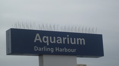 IMG 0833