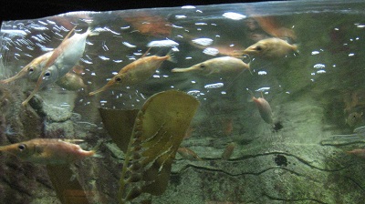 IMG 0838