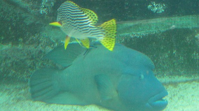 IMG 0869