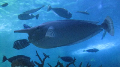 IMG 0915