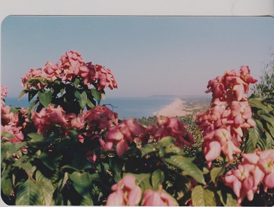 goa 007