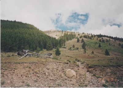 KOLO 003