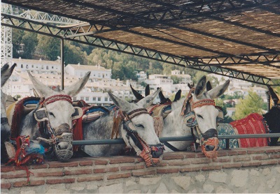 MIJAS 2 001