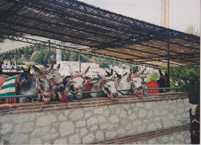 MIJAS 2 002