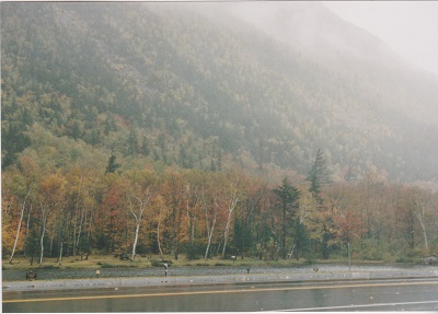 NH 004