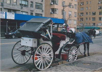 NYC 003