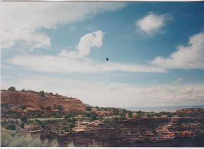 Namon 2 004
