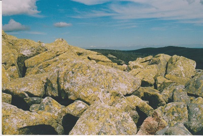 LUZNY 004