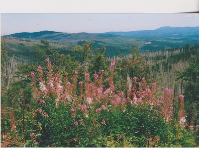 hranice 008