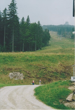 javor 001