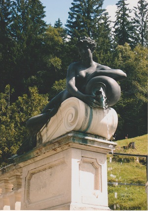 linden 001