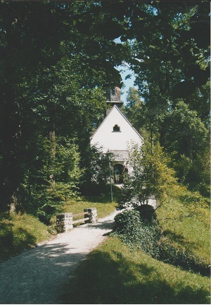linden 006