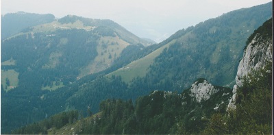 ober 001