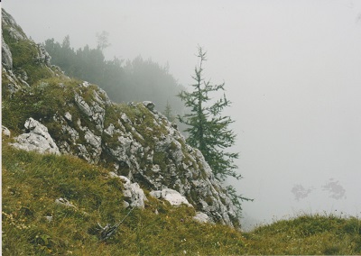 ober 013