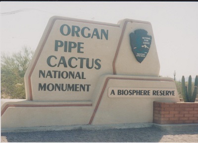 ORGAN 003
