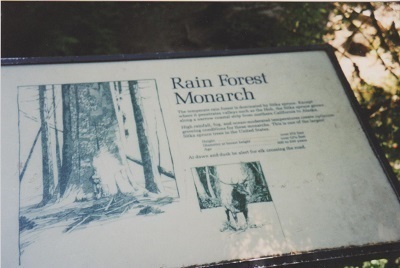 Olympic 1 005