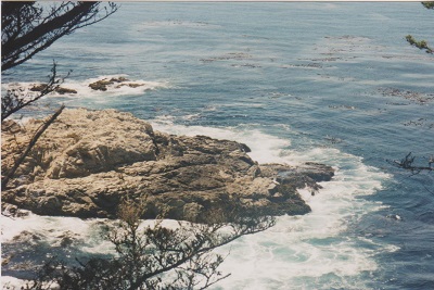 Pacifik 005