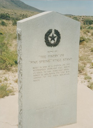 Pine 002