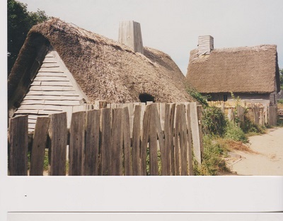 Plant 2 003