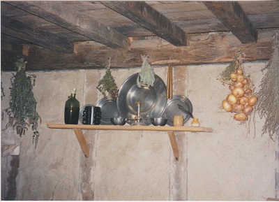 Plant 3 004